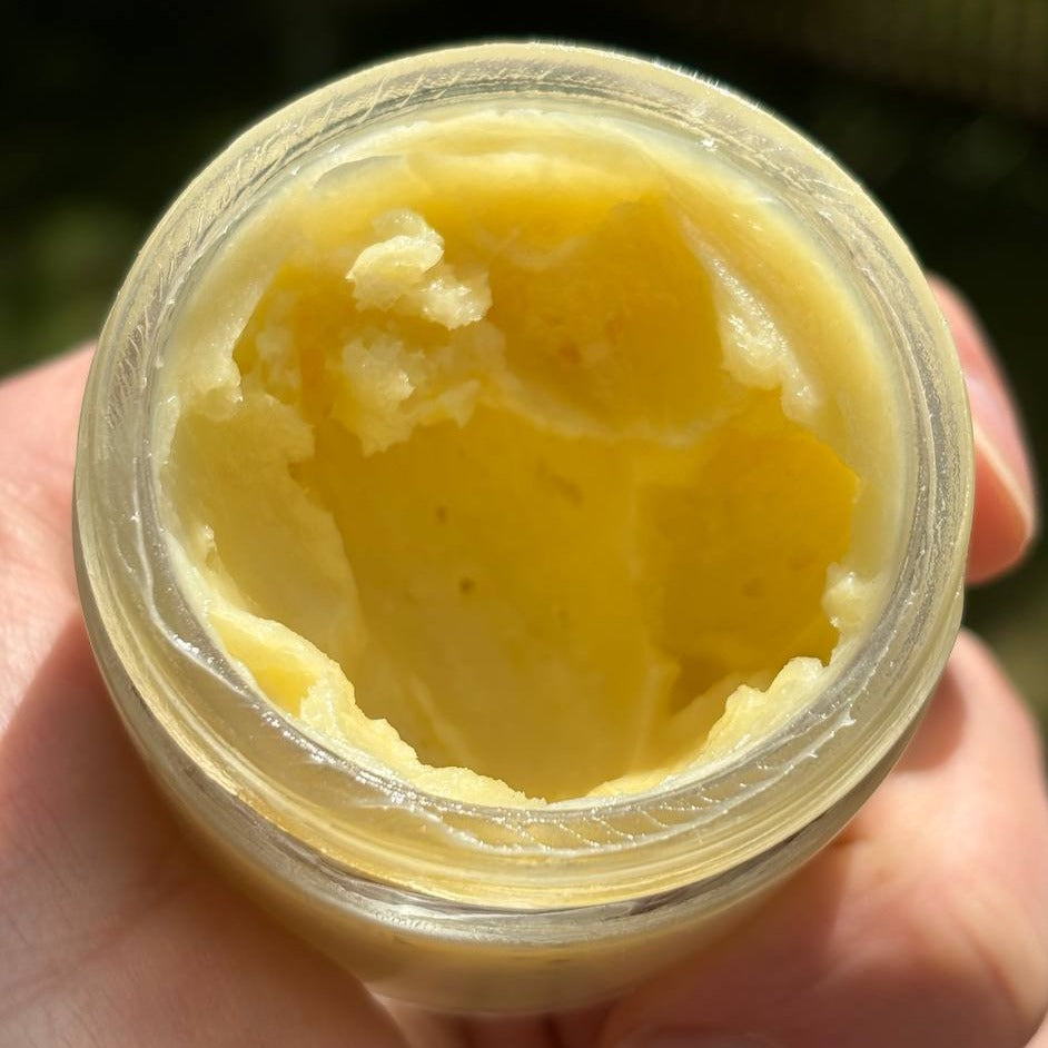 DEET-free insect repellant bug balm with grass-fed beef tallow, beeswax, black seed oil & amazonian andiroba oil for all-natural protection.  repelente de mosquitos.