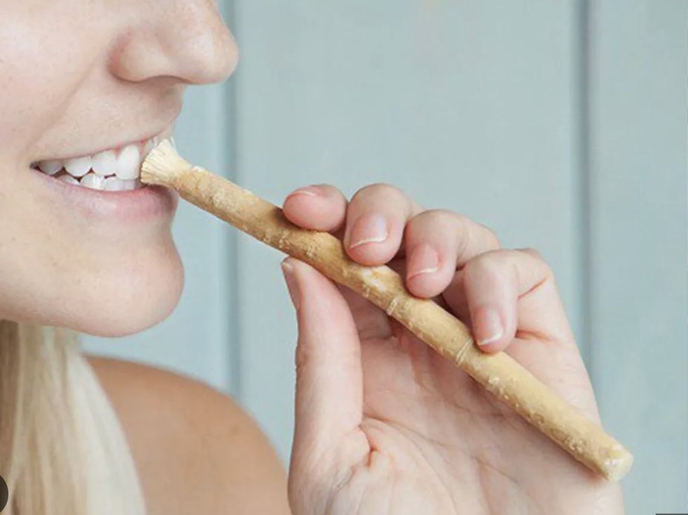 Bad Breath Be Gone - Does This Ancient Twig Hold The Secret To Perfect Breath?