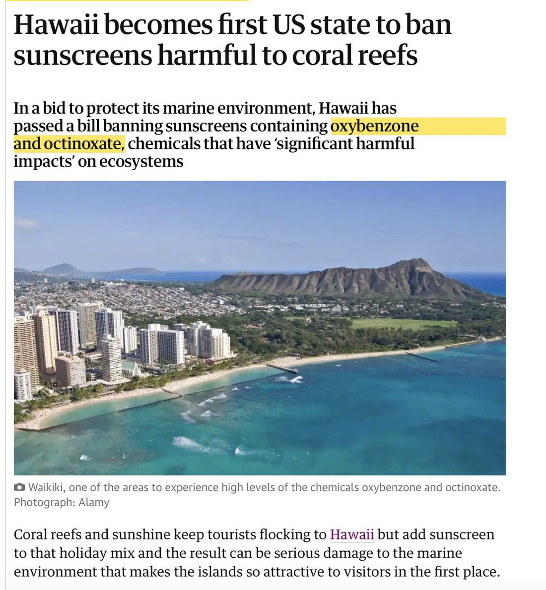 Mineral sunscreen reef safe tallow sunscreen for dry skin mosturization 